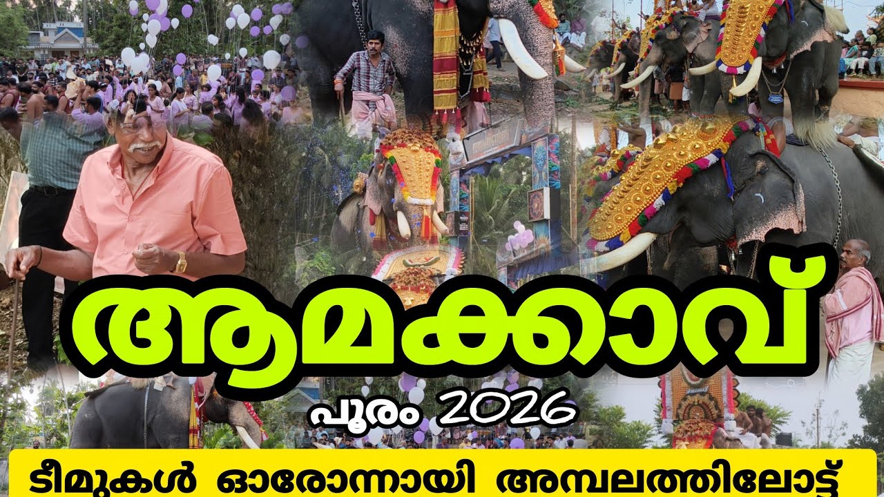 കൂറ്റനാട് ആമക്കാവ് പൂരം 2026 ടീമുകൾ അമ്പലത്തിലോട്ട് രാമനടക്കം നിരവധി ആനകൾ വന്നു 