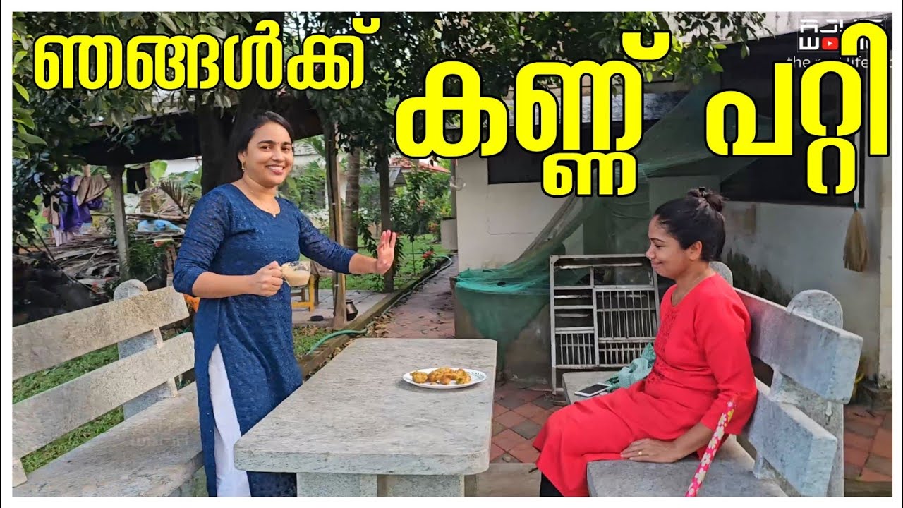 ഞങ്ങൾക്ക് കണ്ണ് പറ്റി 😭/Agriculture tips /Snacks /Egg baji recipe /Village cooking /Krishi