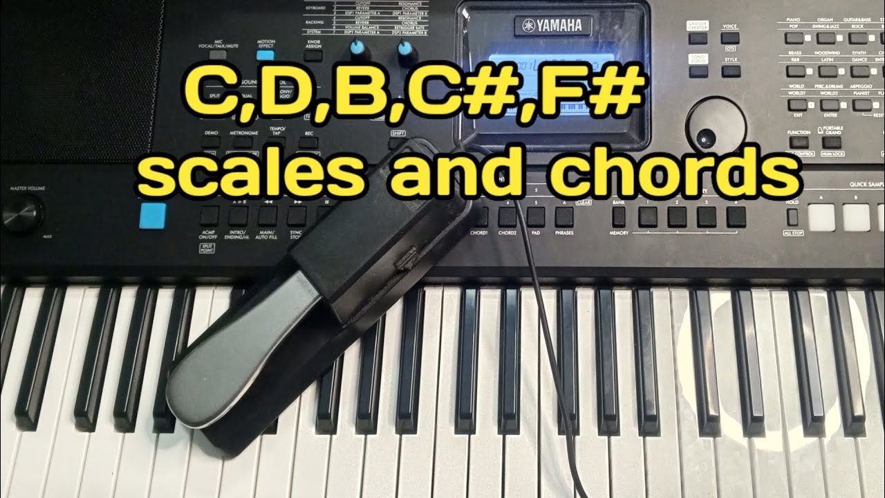 C, D, B, C# и F# Простые гаммы и аккорды для начинающих