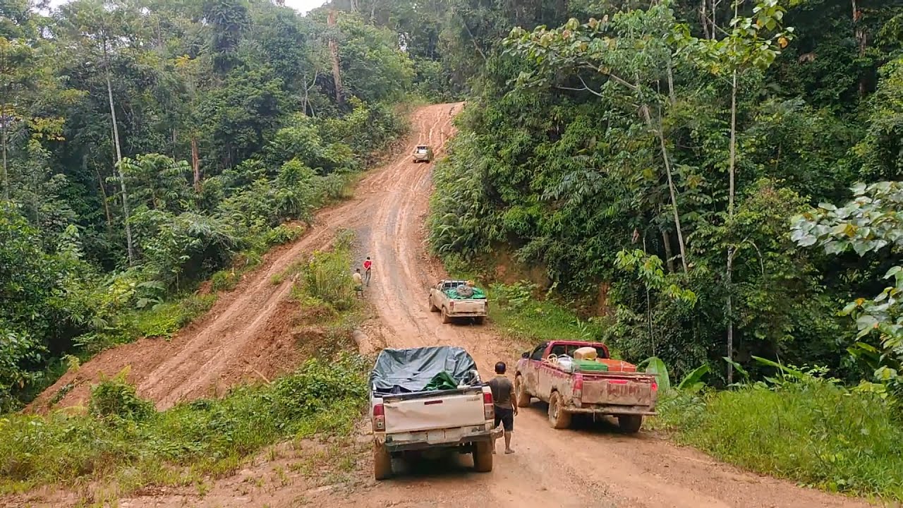 Toyota Hilux VS Mitsubishi Strada Triton In Mud Track - 4x4 Pickup Truck In Mud Route