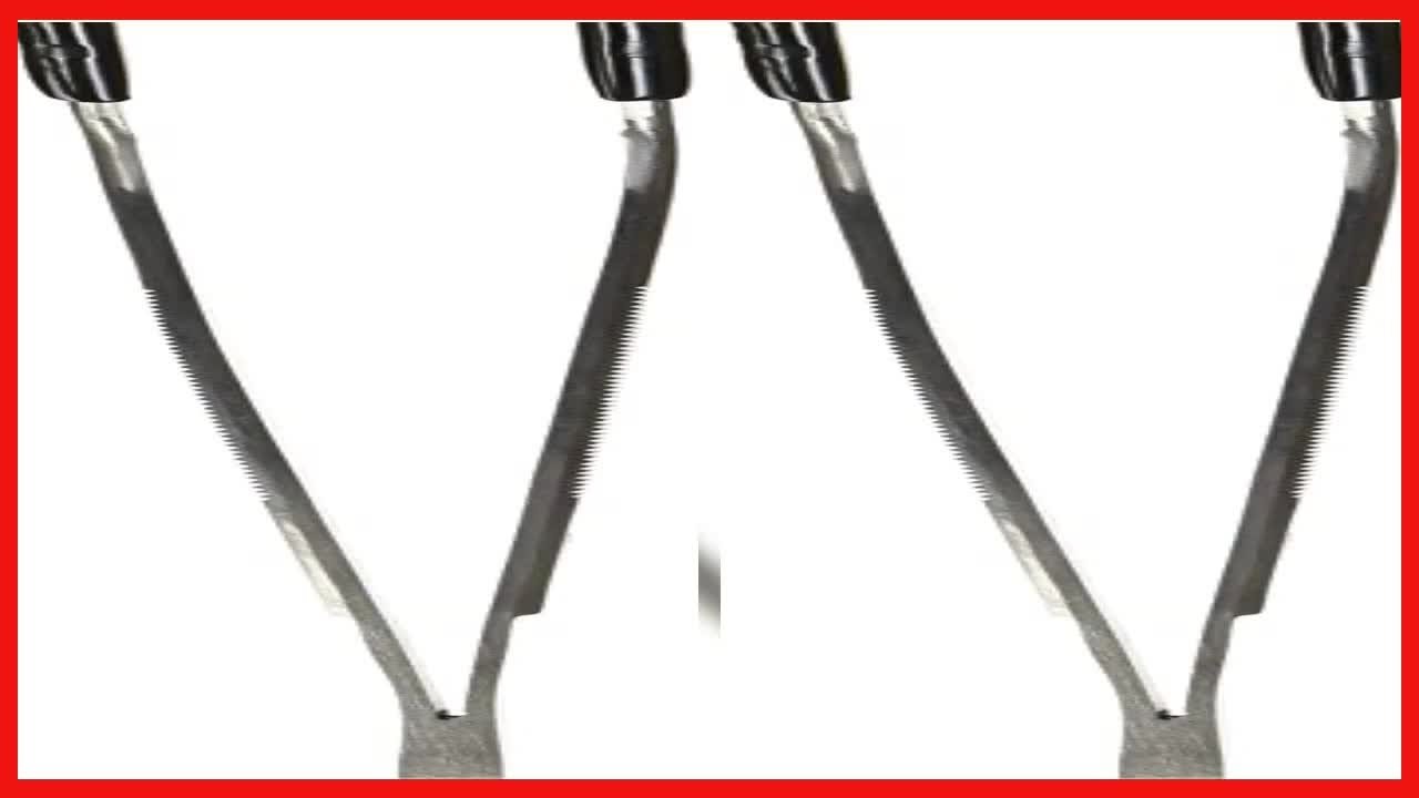 Quality product -  Zoo Med Labs Angled Stainless Steel Feeding Tongs, 10