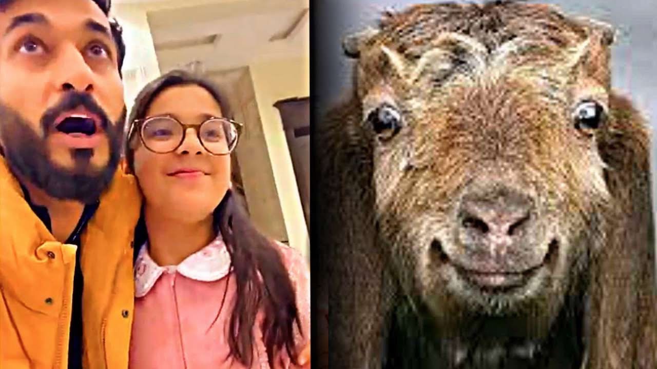 هدية حور و فطوم  😂😂