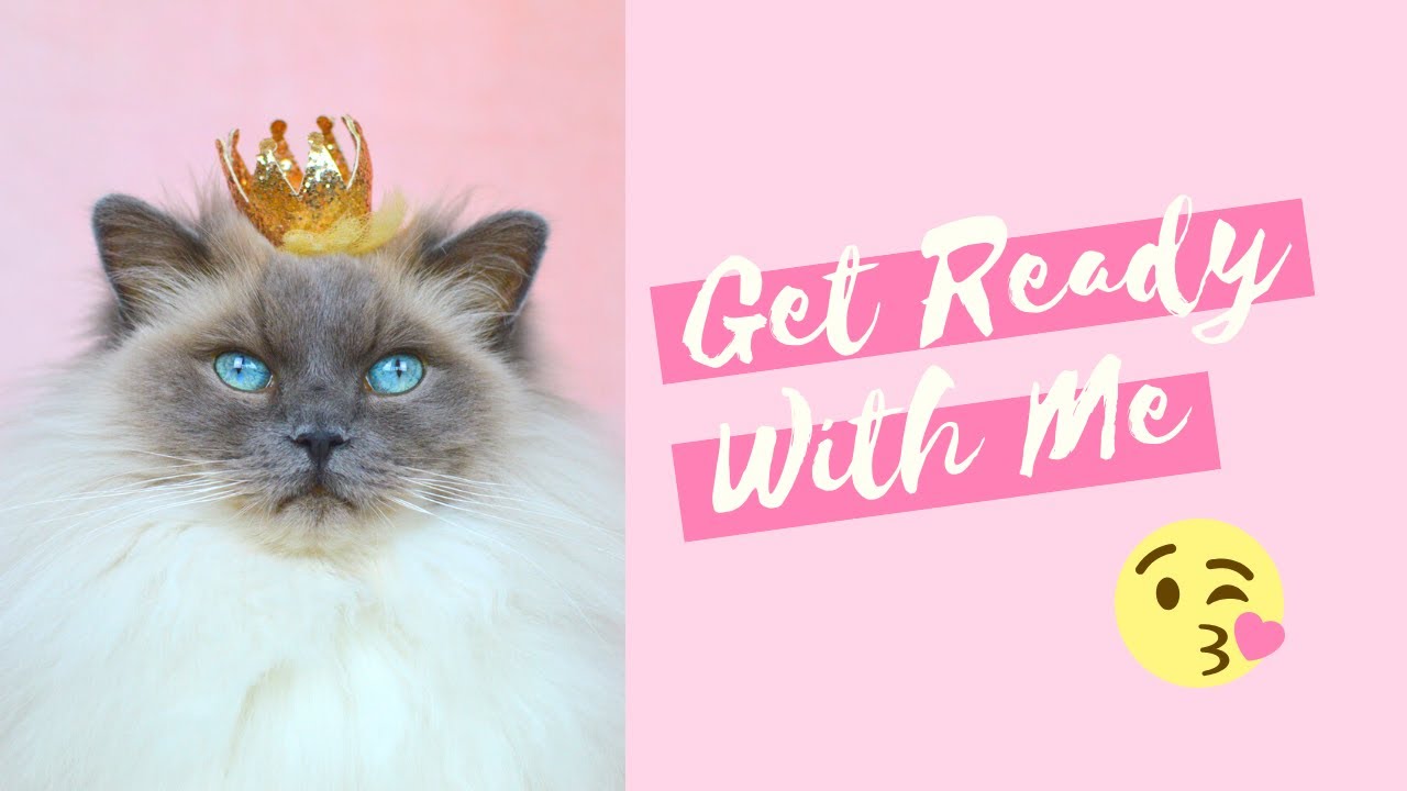 Philly's First Makeup Tutorial | GRWM Cat Edition 💄
