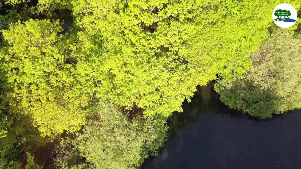 Chislehurst Commons - An Aerial View 2019