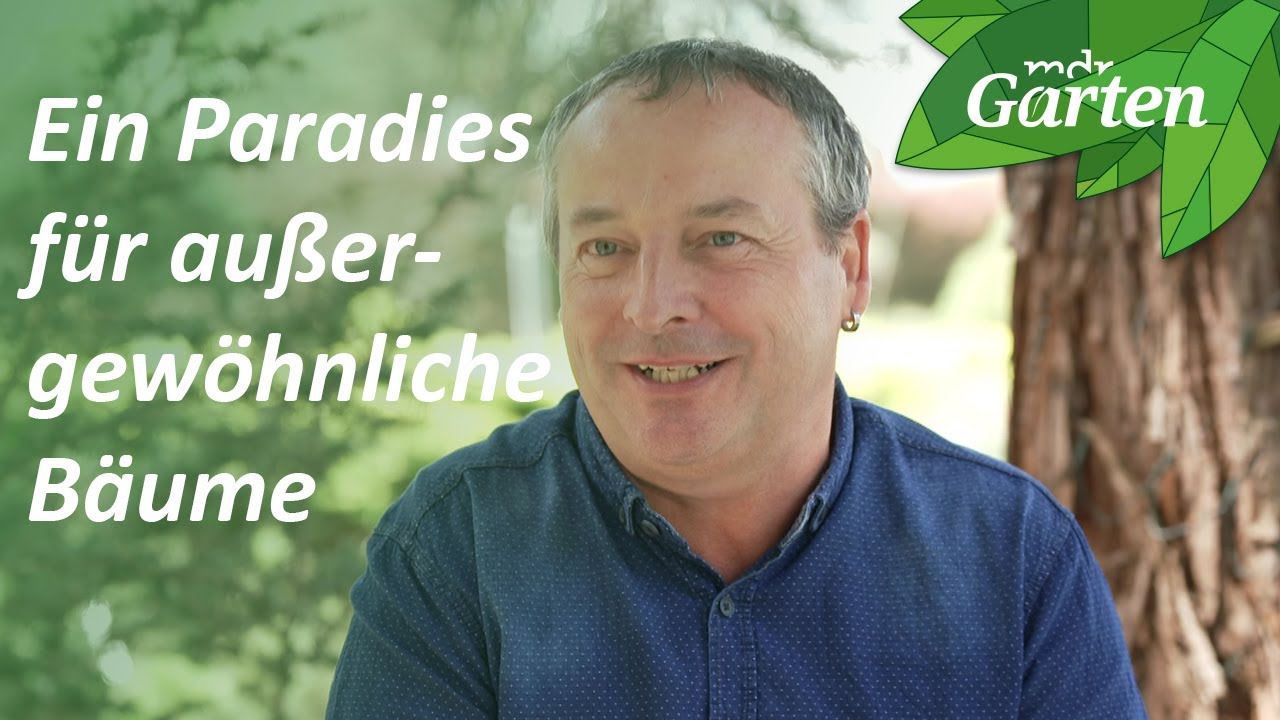 Der Mammutgarten in Elstra | MDR Garten
