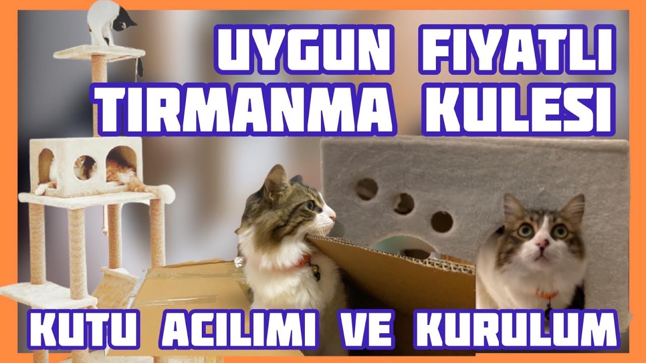 Çok ucuza kedi tırmanma kulesi aldık! | DEĞERLENDİRME VE KUTU AÇILIMI #keditırmanmakulesi