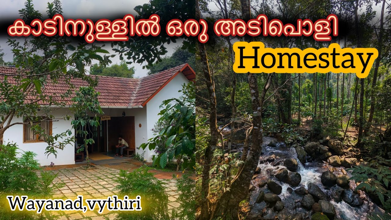 കാടിനുള്ളിൽ ഒരു അടിപൊളി private homestay|Budget Friendly homestay vythiri| wayanad