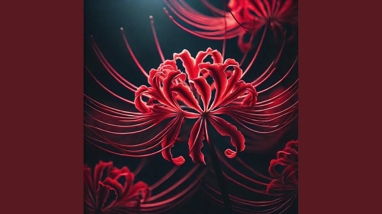 DeathNote / Kamélia (feat. Young Stork)