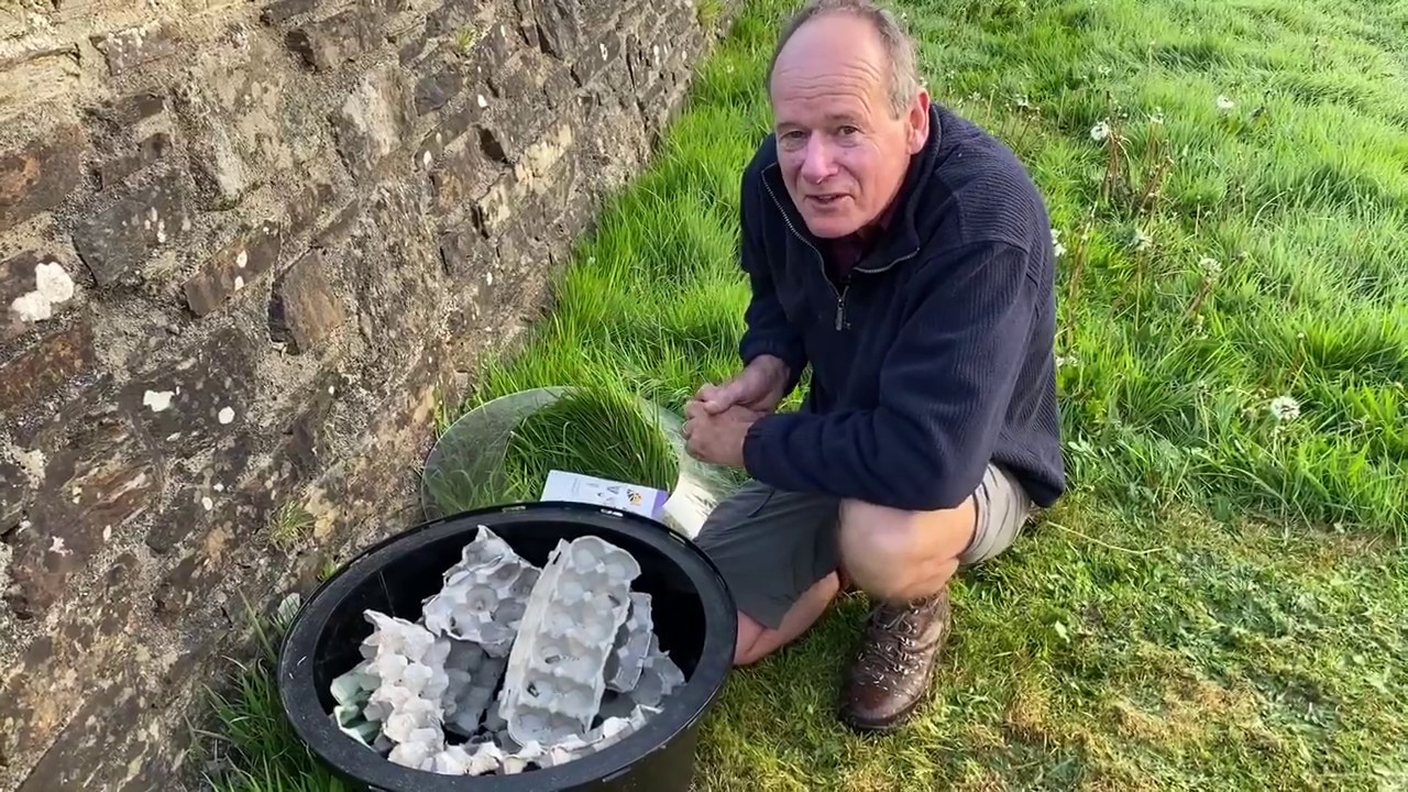 The secret life of moths - what's in the moth trap in May.