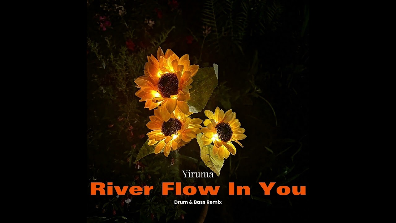 Yiruma - River Flow In You ( ERYU Drum & Bass Remix )