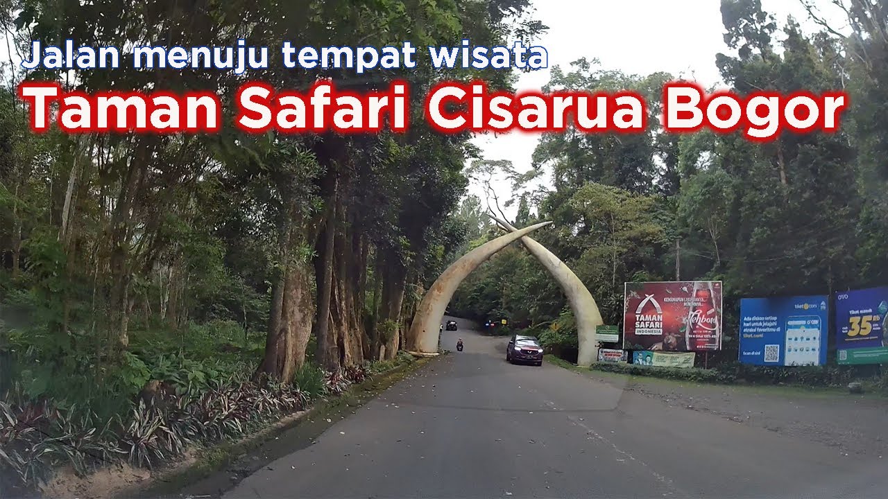 Jalan Menuju Taman Safari Bogor ~ Taman Safari Bogor