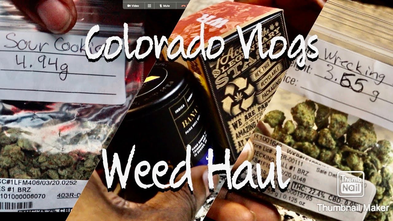 Hangout Vlogs | Colorado Trip | Weed Haul, Smoke Session, Apartment Tour