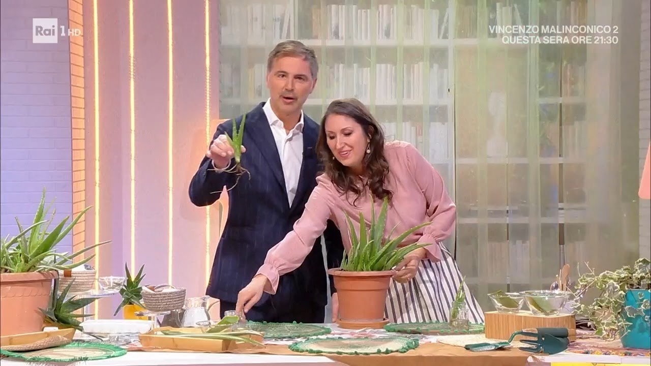 🎍Aloe vera: coltivazione e usi cosmetici- Lucia Cuffaro/Beppe Convertini Raiuno Unomattina Famiglia🌟