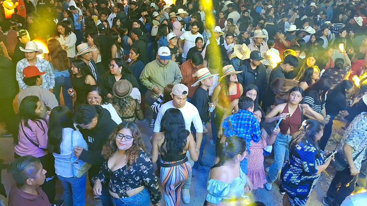 ASI SE BAILA LA ABEJA MIOPE CON BERTIN Y SU CONDESA / EN XALPATLAHUAC GRO. 2026