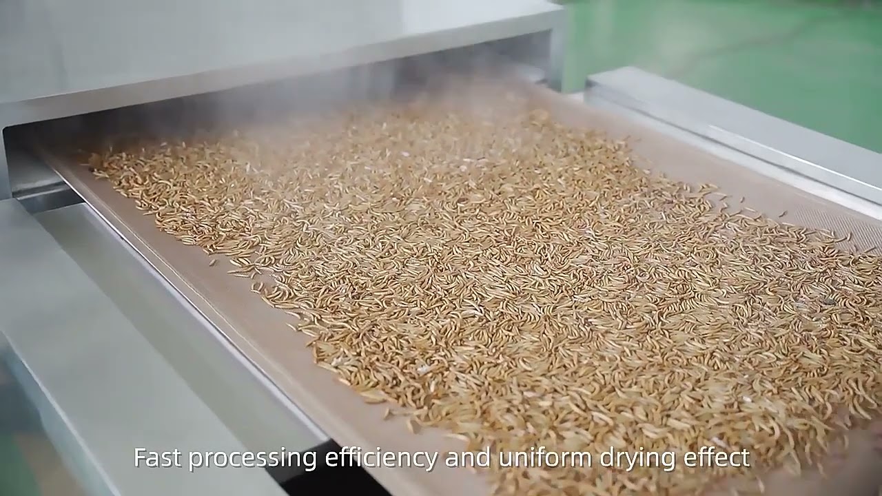 Microwave Tunnel Dryer Explained: Fast, Efficient, and Smart Drying Technology 