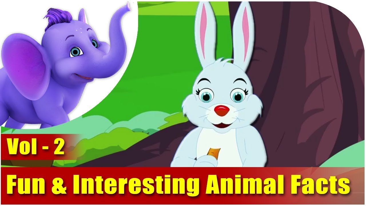 Fun & Interesting Animal Facts - Vol 2