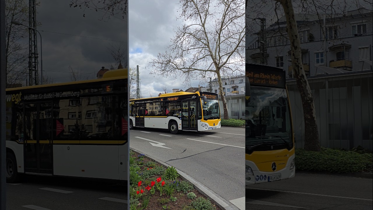 Bus in L&ouml;rrach Busbahnhof #linienbus #autobus #busbahnhof #travel #shorts #yt