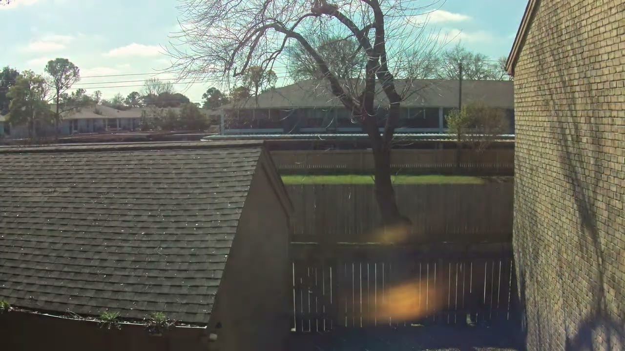 Backyard Timelapse 20260216