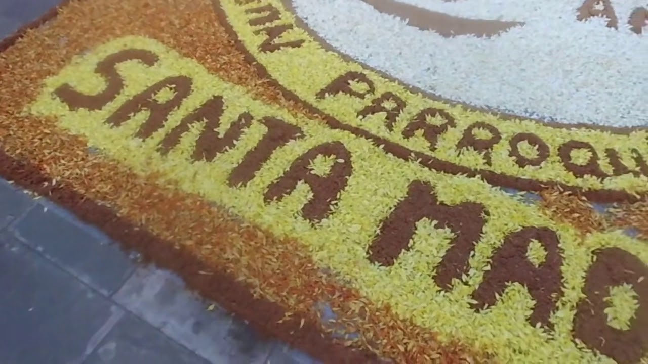 08.03.19 | PROCESIÓN de Nuestra Señora de La Reconciliacion en La Molina 2019 | LIMA PERÚ | [01/15]