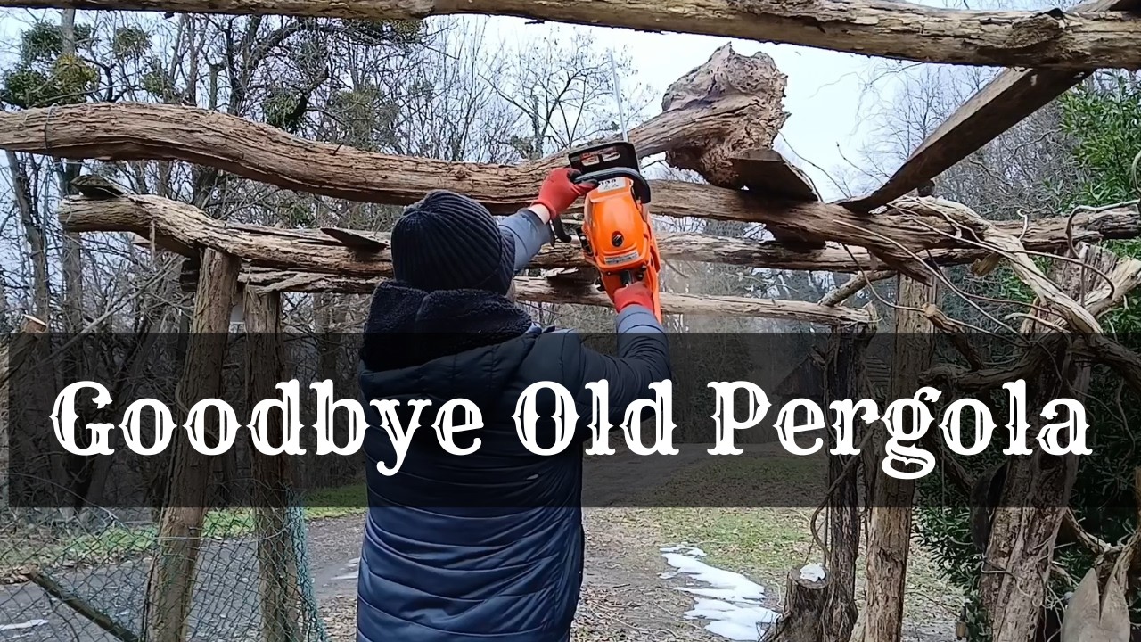 Removing an Old Wooden Pergola | DIY Cabin Renovation | Ep. 4