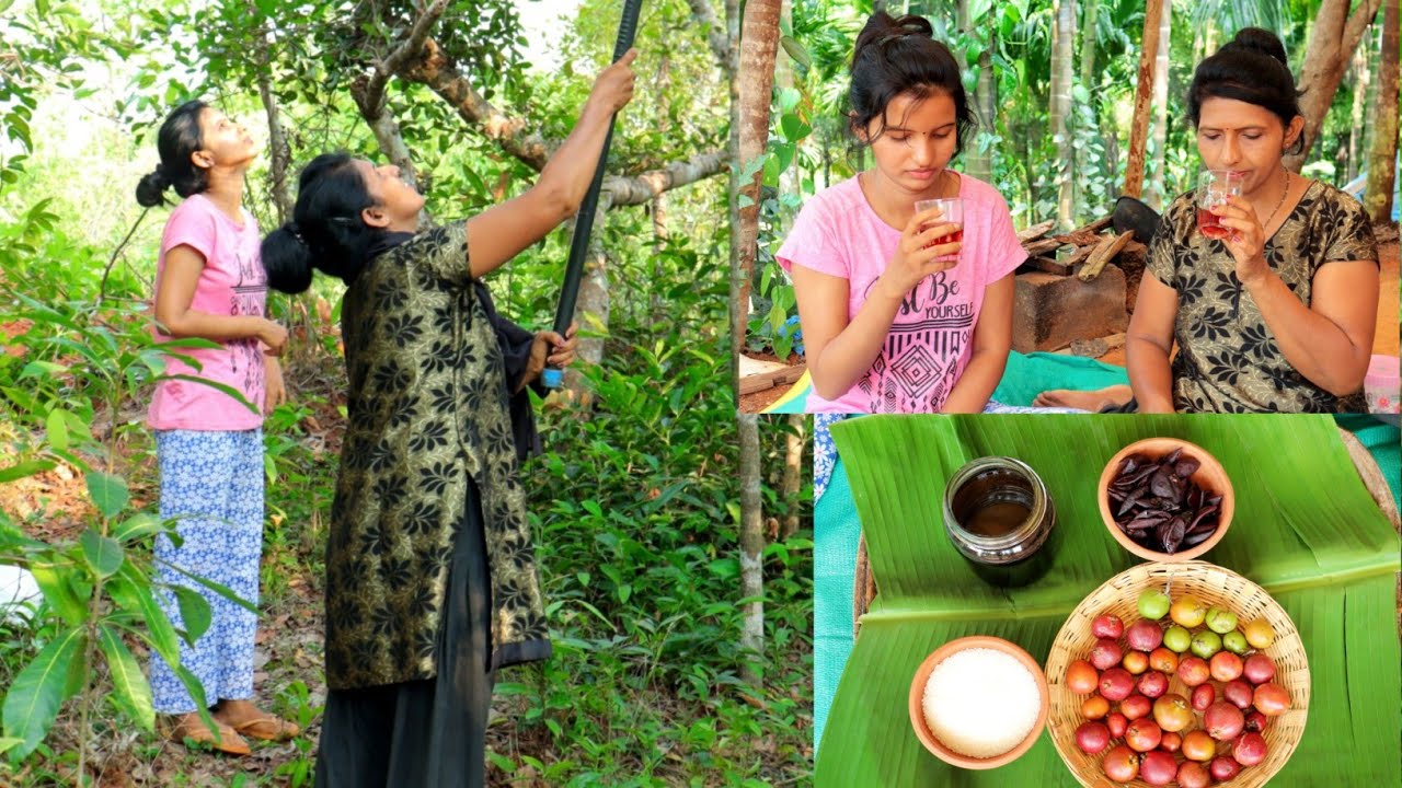 ಪುನರ್ಪುಳಿಯ(kokum) ರಸ ಸುಲಭವಾಗಿ ತೆಗಿಯಬಹುದು | ಪಿತ್ತಕ್ಕೆ ಮನೆಮದ್ದು| Tulu vlog | Kannada vlog