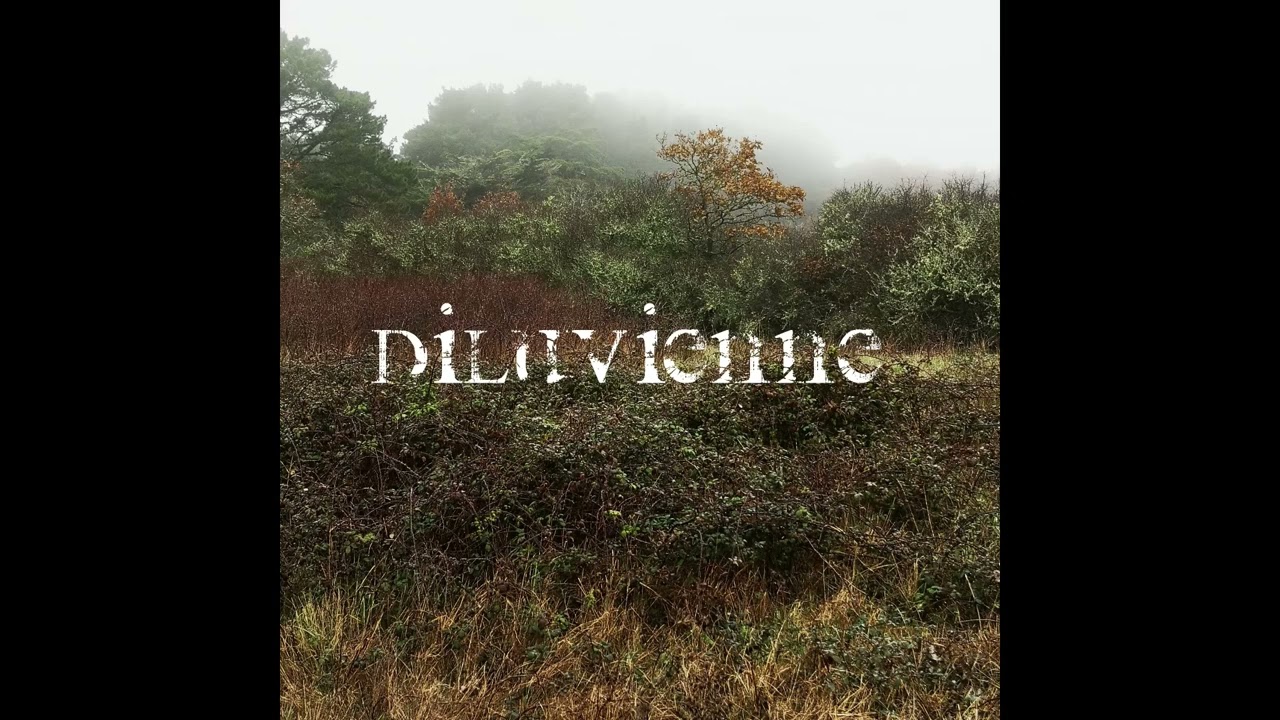 Useless for those remain (Diluvienne) - diluviennegroupe@proton.me