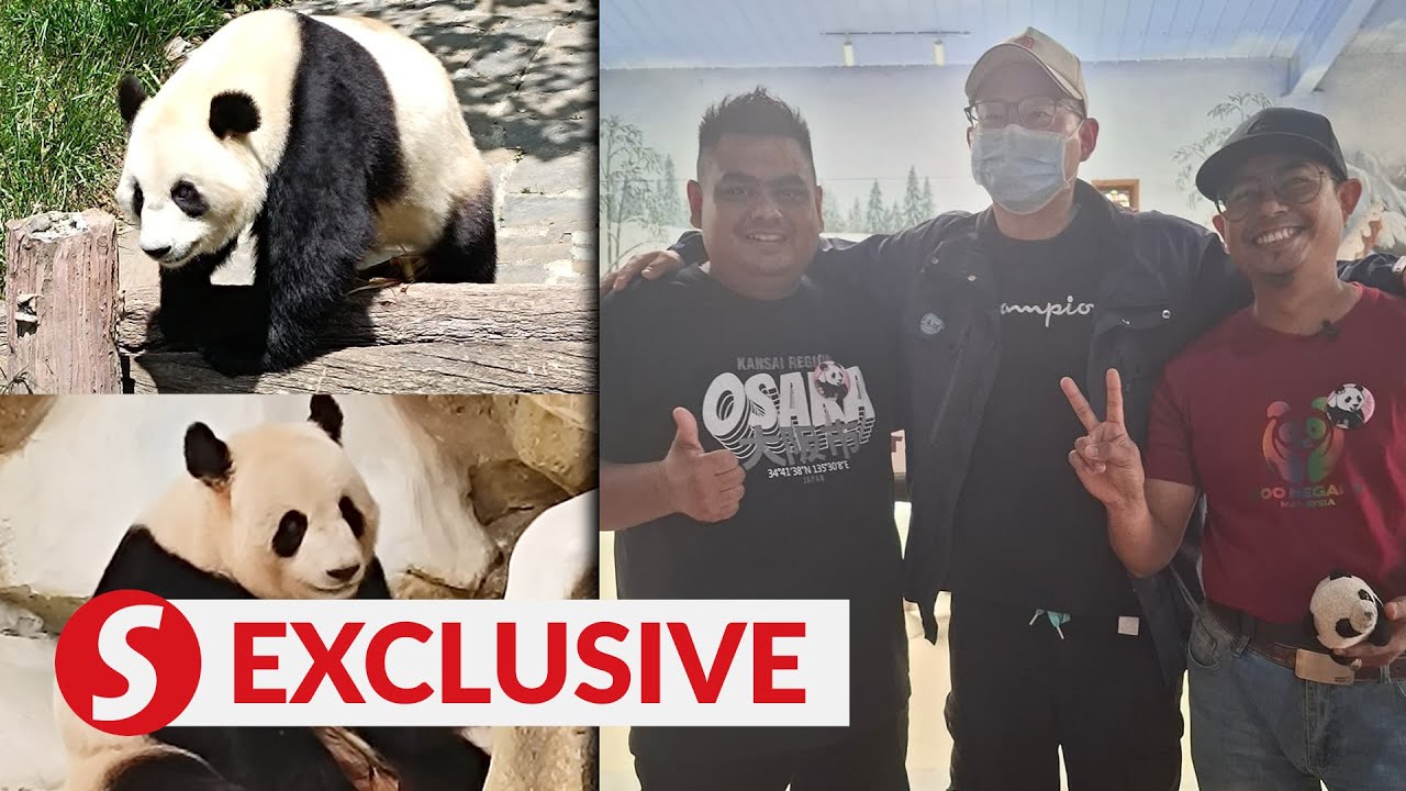 Pandas: Hard to say goodbye