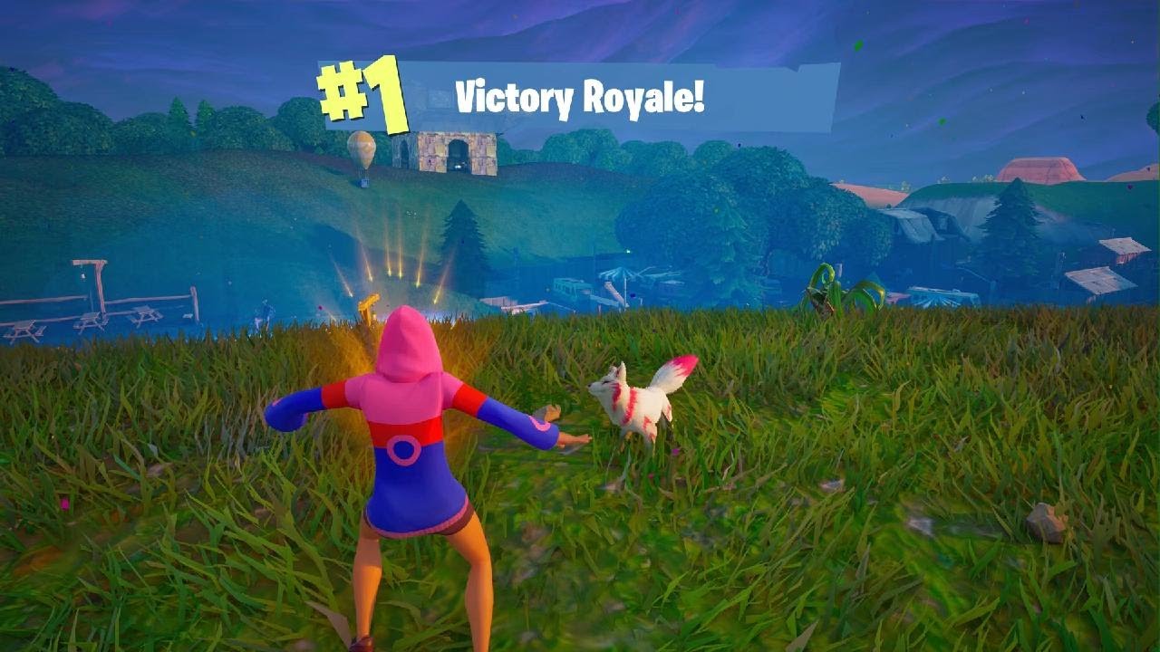 2nd win with my pet 4 kill game with iriss