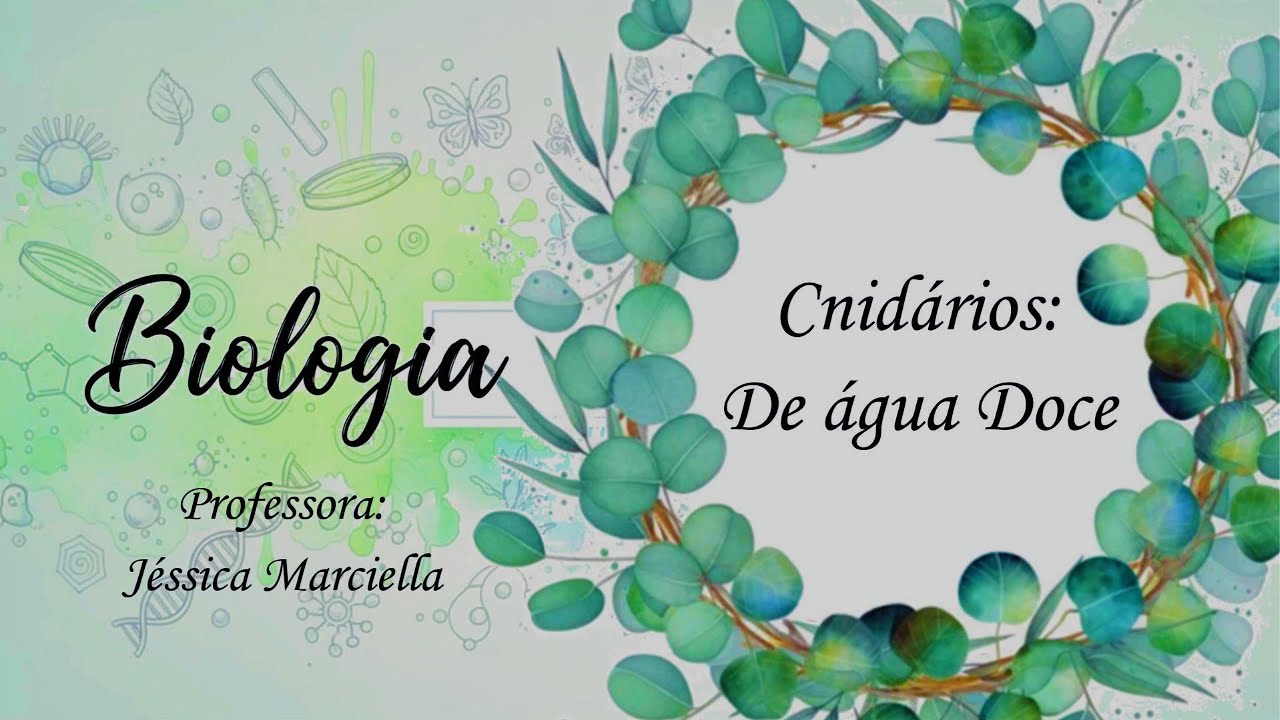 8.3.11 Cnidários de Água Doce