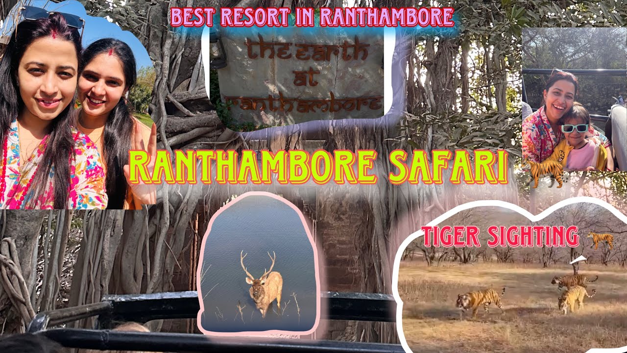 Ranthambore safari | Tiger Sighting | Best resort in Ranthambore | The Earth at Ranthambore | travel