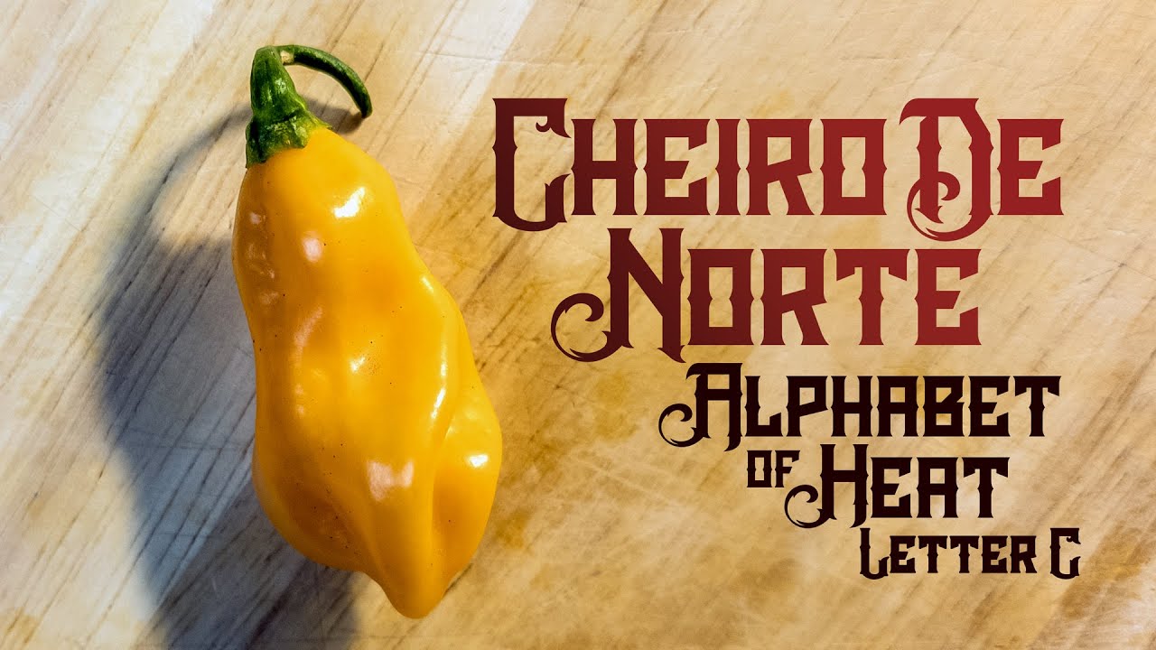 Cheiro de Norte - One of Brazil's BEST Chili Peppers!  The Alphabet of Heat, Letter C