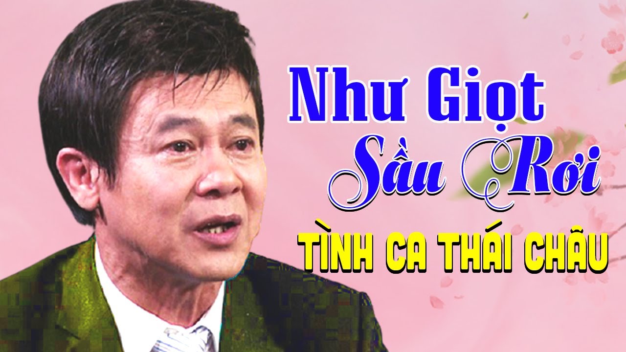 Như Giọt Sầu Rơi - Thái Châu | Tình Ca Thái Châu Hay Nhất
