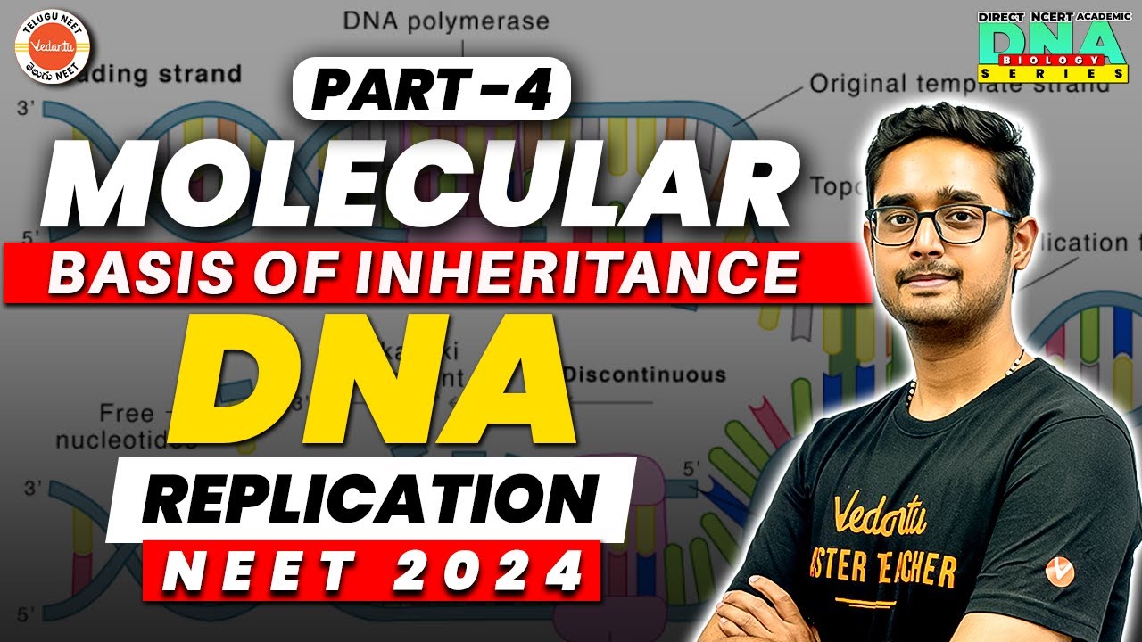 Molecular Basis of Inheritance Class 12 Chapter 6 | Part 4 | DNA Replication | NEET 2024/2025