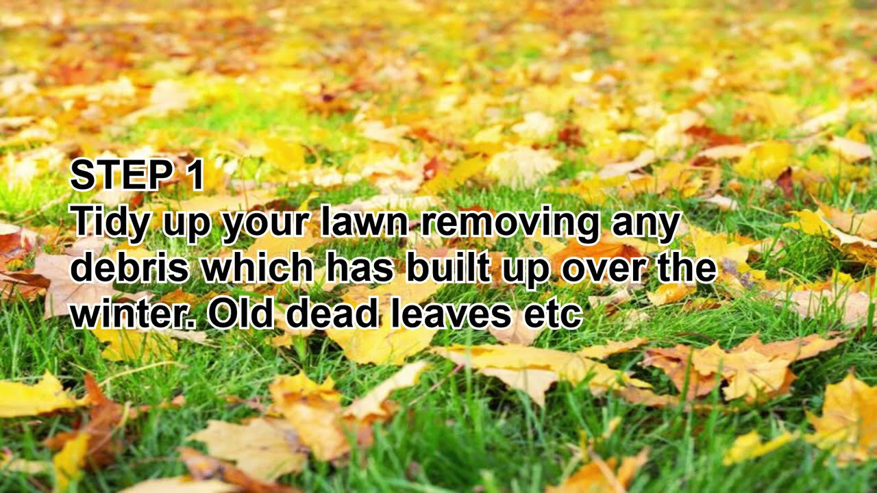 Viano Lawn Boost