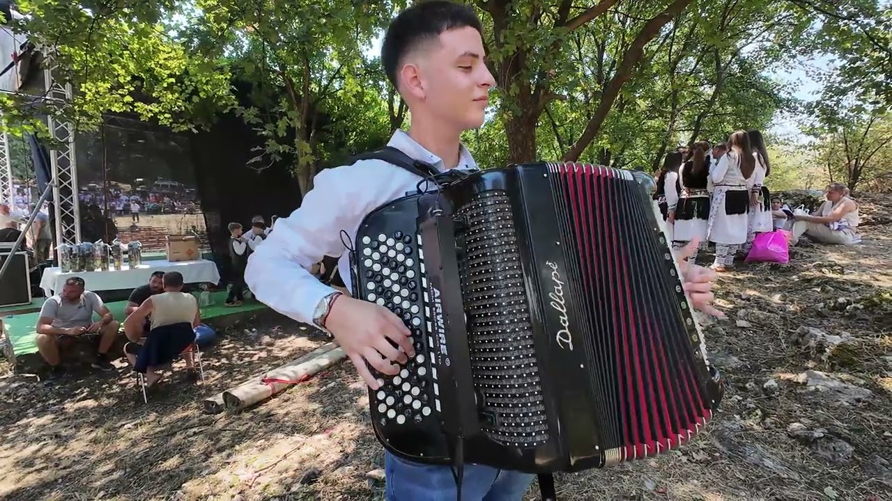 Muzički intermeco   Mihajlo Stojićević