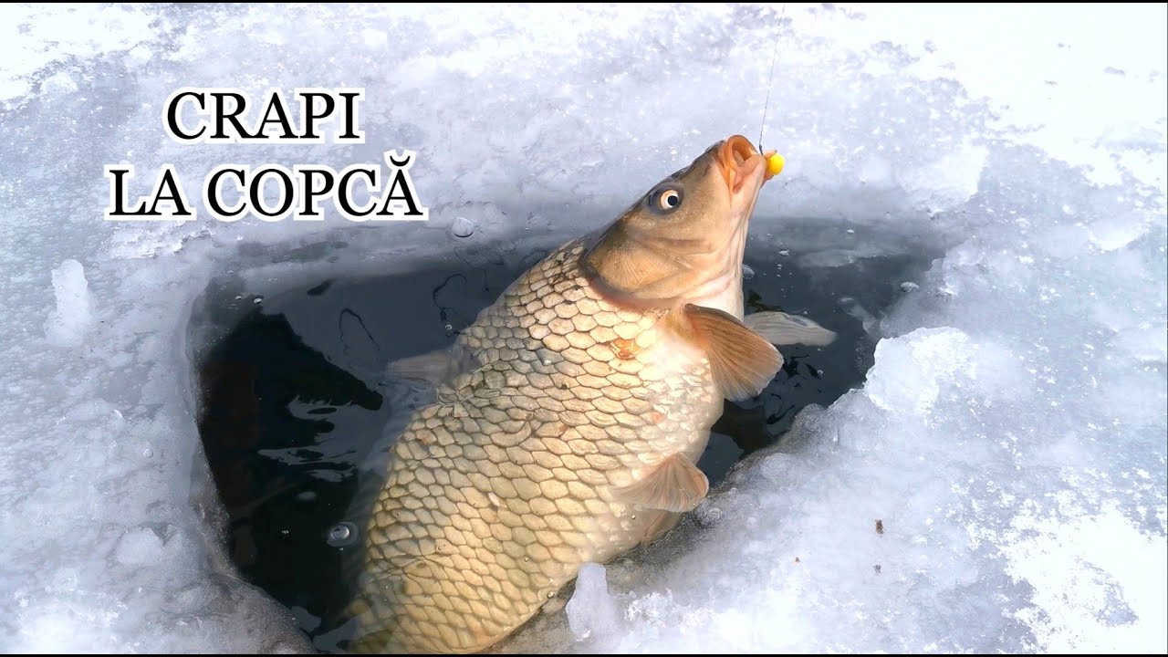 PESCUIT LA COPCA 2021 - CRAPI LA COPCA