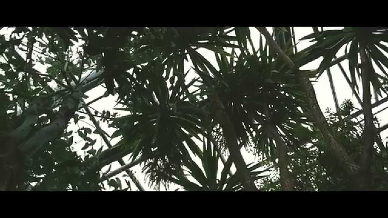 Mura Masa - ...Girl (Official Video)