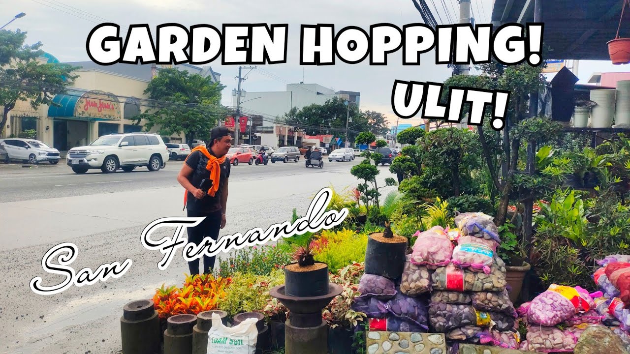 VISITING GARDEN SHOP IN SAN FERNANDO  PAMPANGA | PLANTS & GARDEN NEEDS