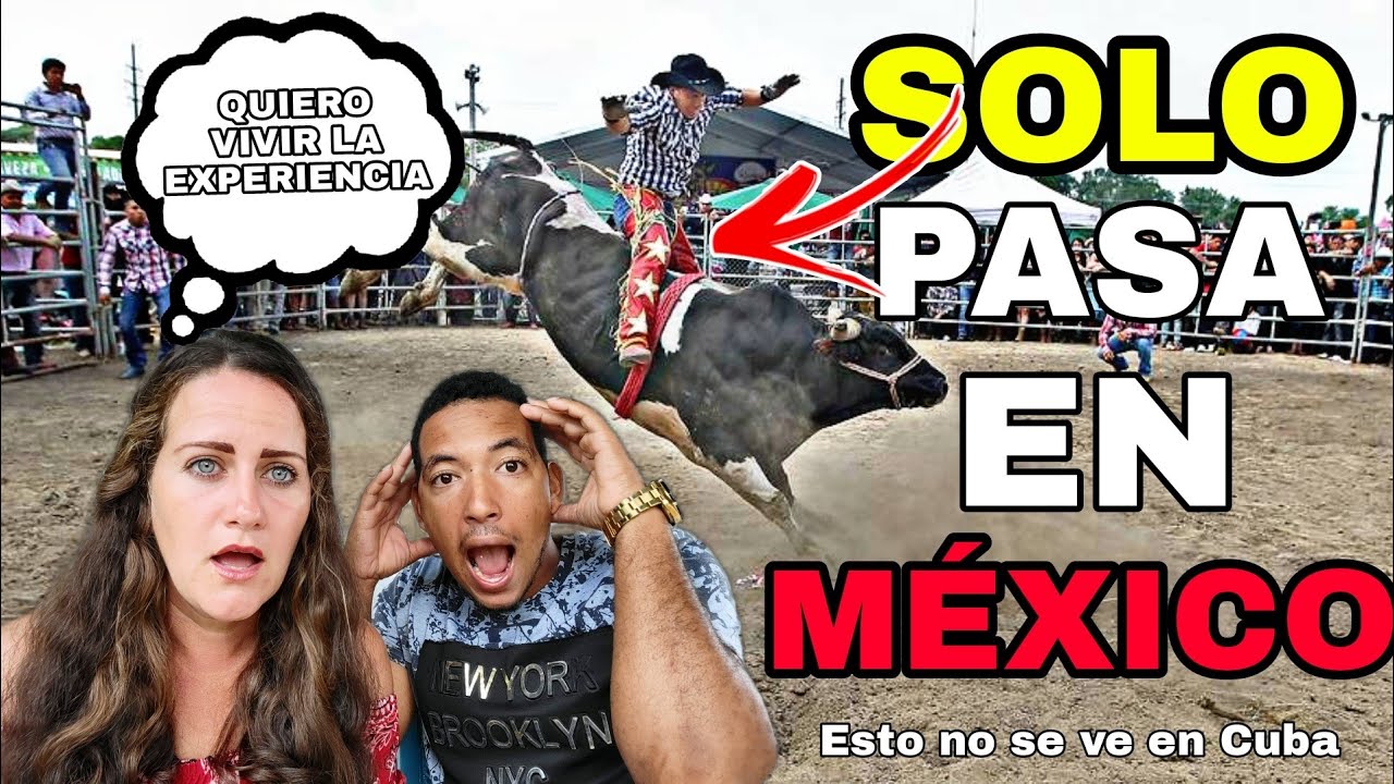 🇨🇺 РЕАКЦИЯ КУБИНЦЕВ НА ЕЗДУ НА БЫКАХ В МЕКСИКЕ 🇲🇽