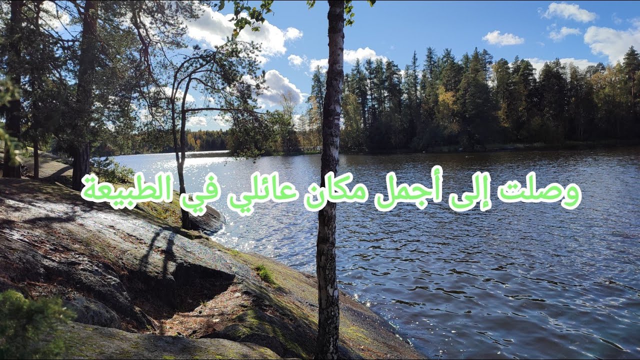 جولة في أدغال الغابة في فنلندا Walk in Forest