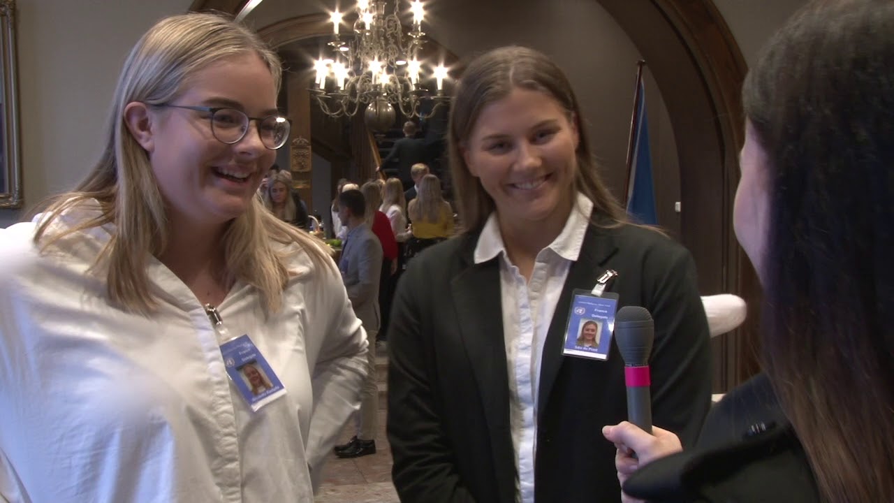 FN-Sambandet - Rollespill sikkerhetsr&aring;det november 2018