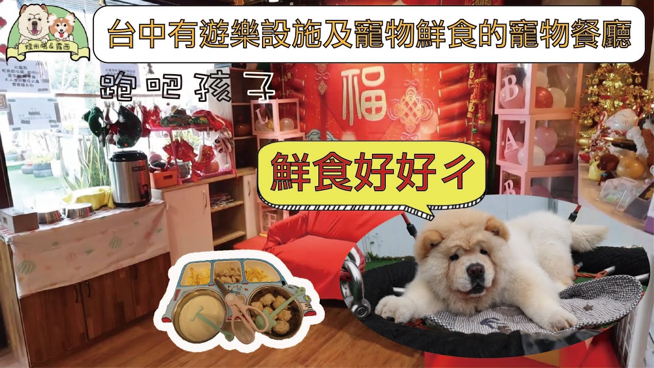 【寵物餐廳】台中寵物友善餐廳 有草皮及遊樂設施 還有超美味的寵物鮮食餐點-跑吧孩子寵物餐廳