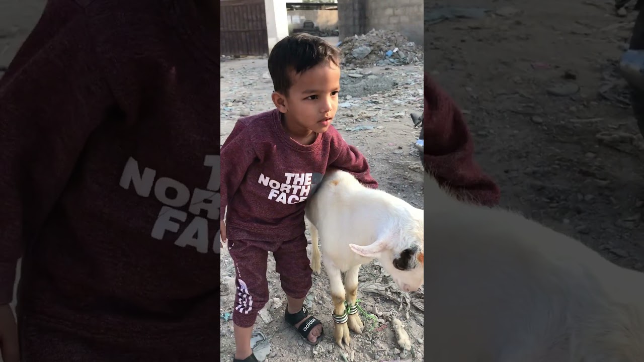 #bakra