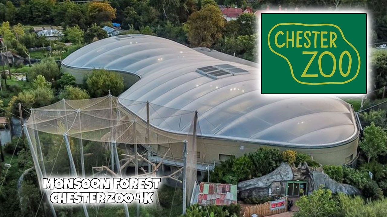 Chester Zoo Monsoon Forest has Reopened 4k