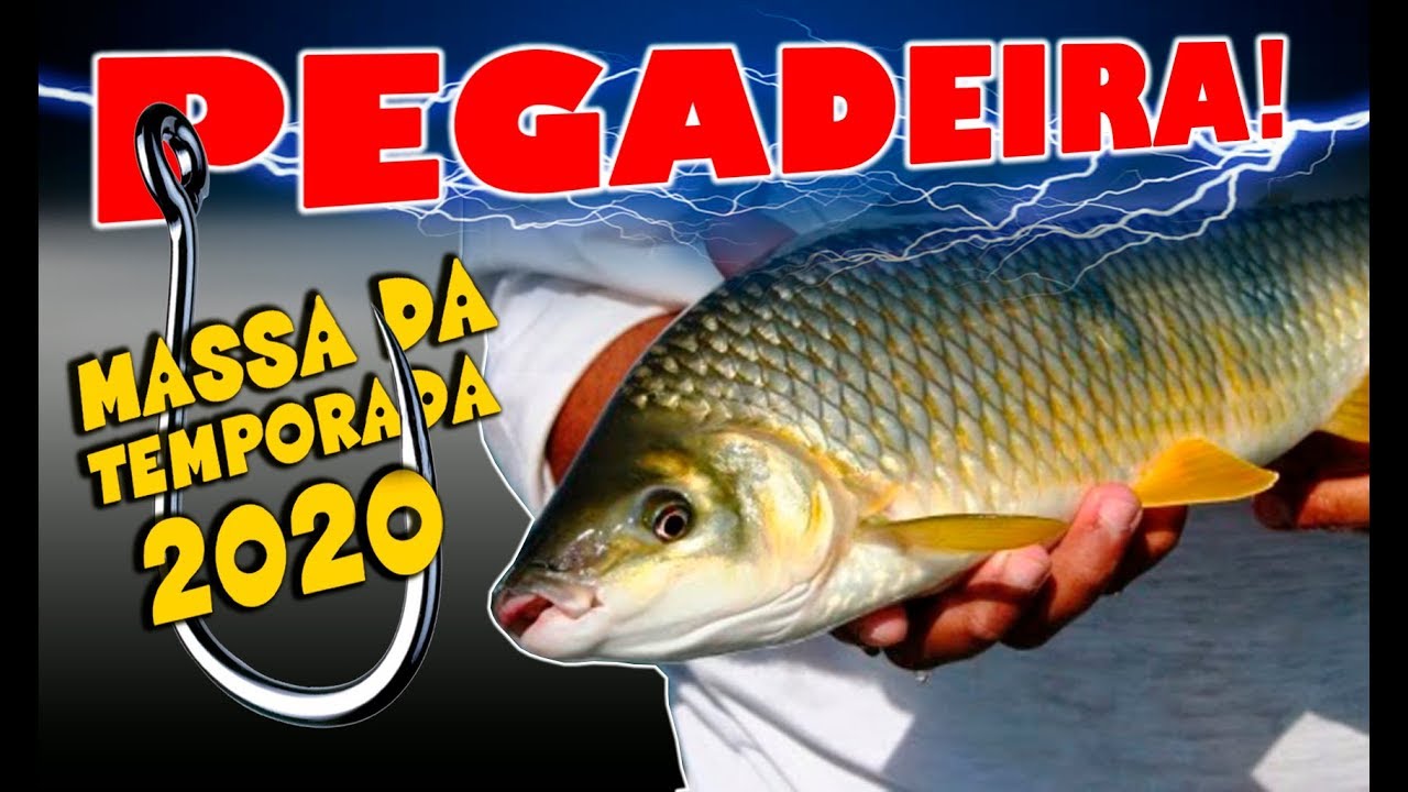MASSA INFALÍVEL PARA PIAUS, PIAPARAS GIGANTES E CURIMBAS!