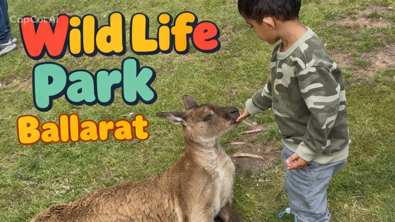 Koala കണ്ടോ? 😍 | Ballarat Trip Vlog