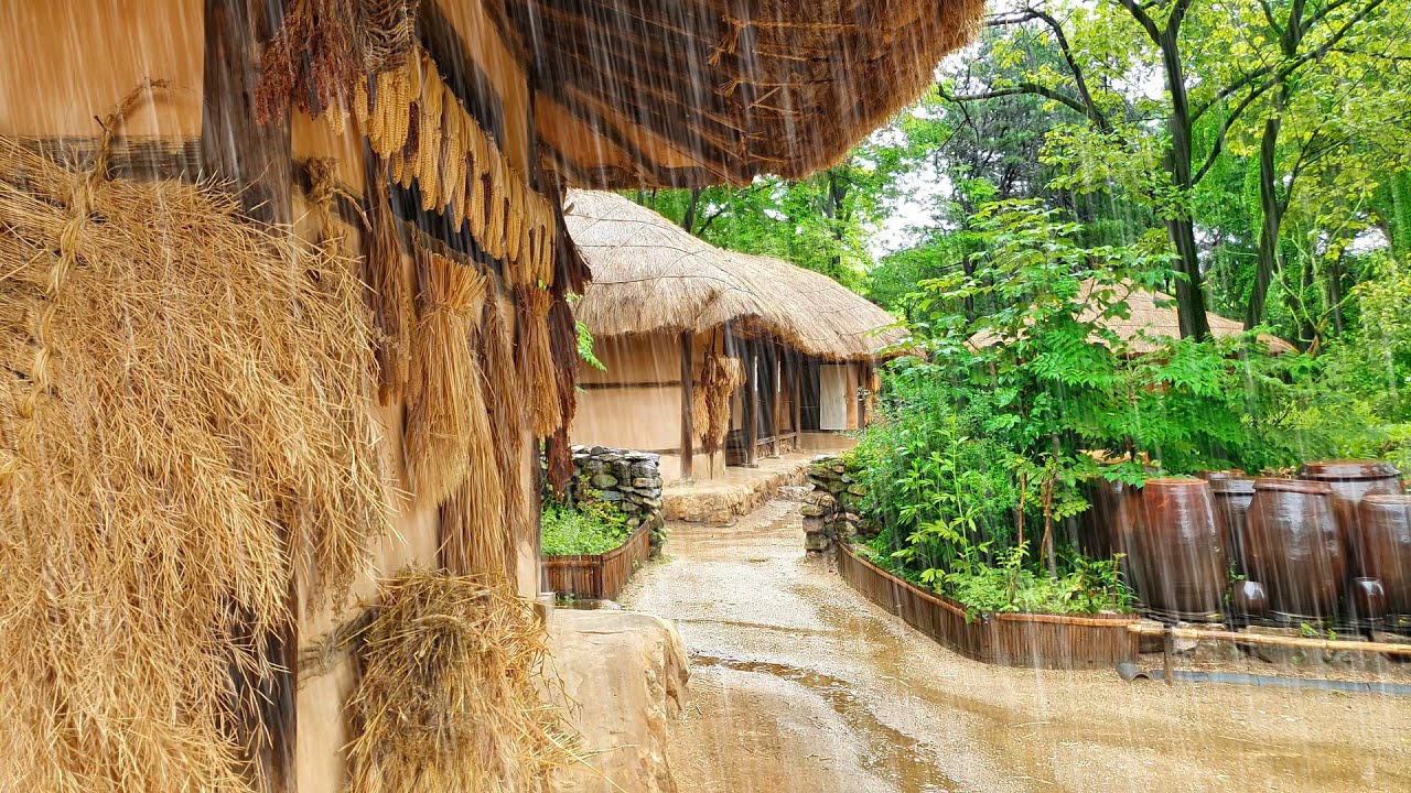 [4K] The Sound of Rain in a Traditional Korean House 한국 전통가옥 초가집 지붕에서 떨어지는 빗소리 韓国の伝統家屋 屋根から落ちる雨の音