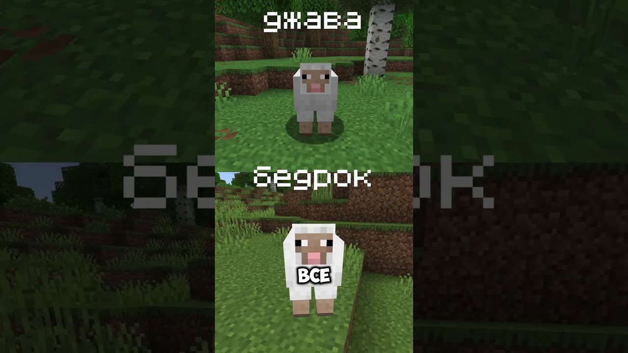 Java vs Bedrock! ВСЕ Отличия Джава и Бедрок Майнкрафта!