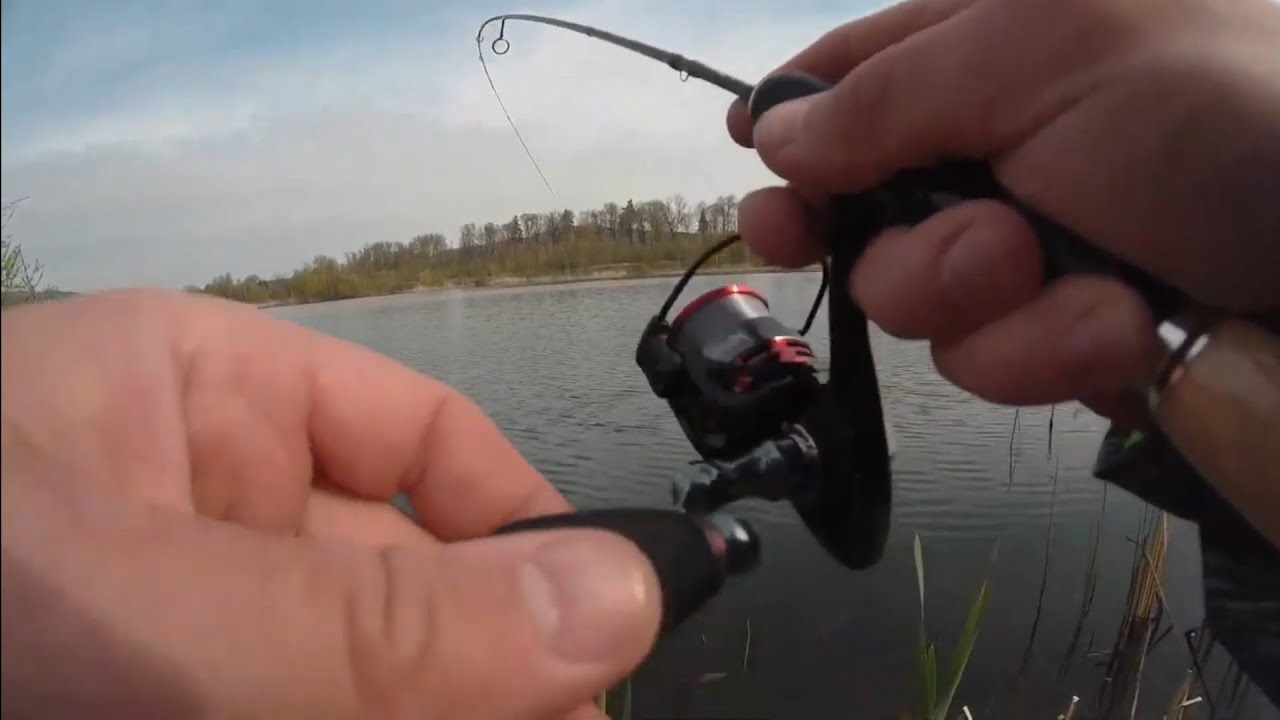 2022#1 Ultralight - czerwonooki drapieżnik