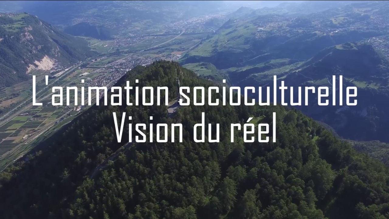 L'animation socioculturelle - vision du réel